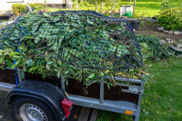Best Scrap Metal Removal  in Haliimaile, HI